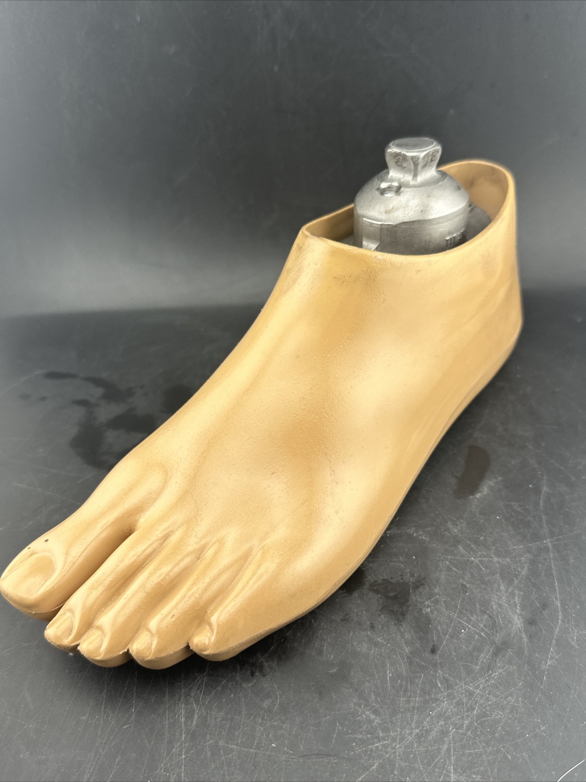 OTTOBOCK Otto Bock Greissinger Plus Prosthetic Foot. Left Size 25 1A30