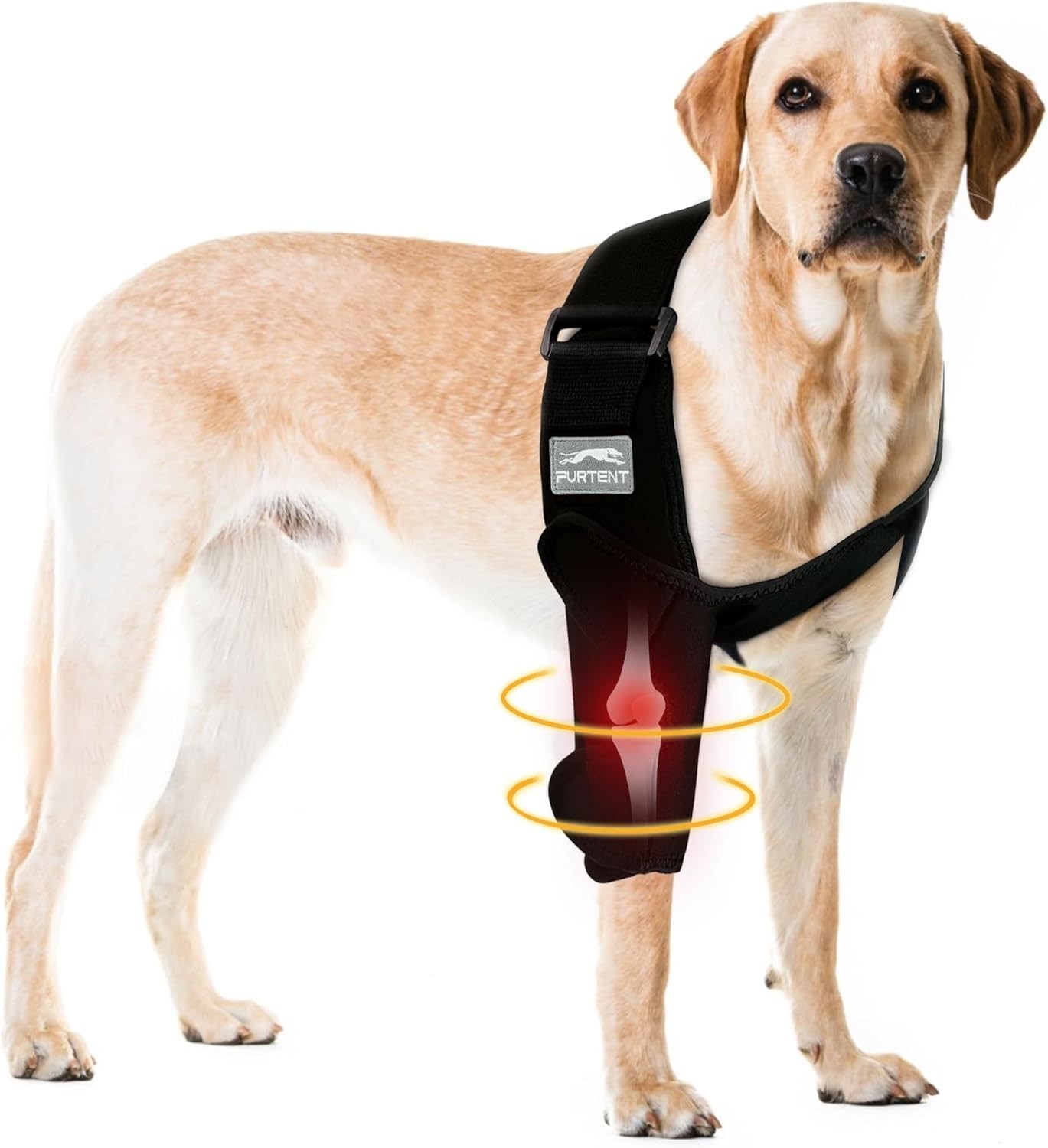 Furtent Dog Front Leg Brace for Elbow Dysplasia Shoulder Dislocation, Black, M