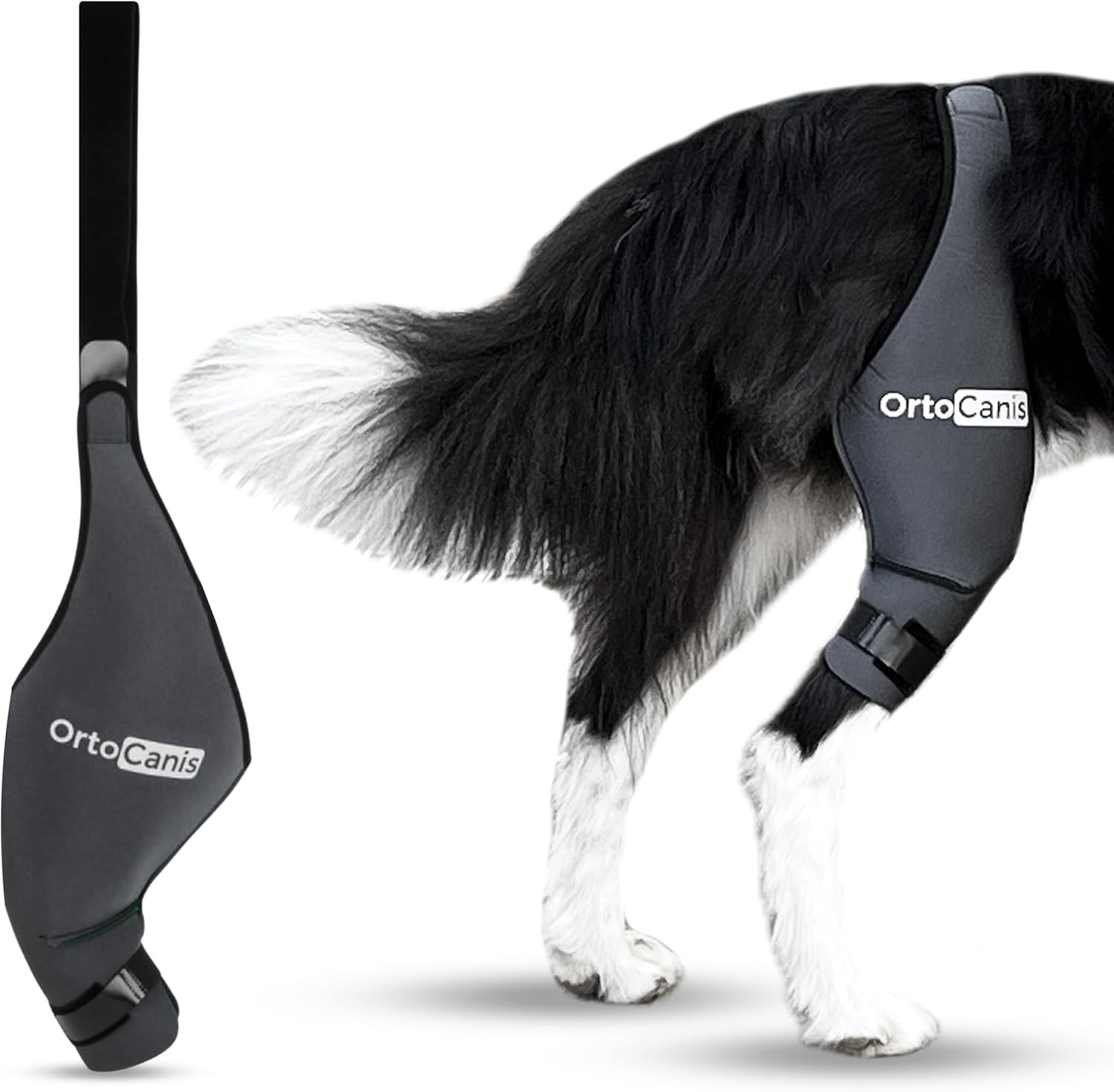 Ortocanis Dog Knee Brace Harness Back RIGHT Leg Support Recovery LARGE 32-36mm