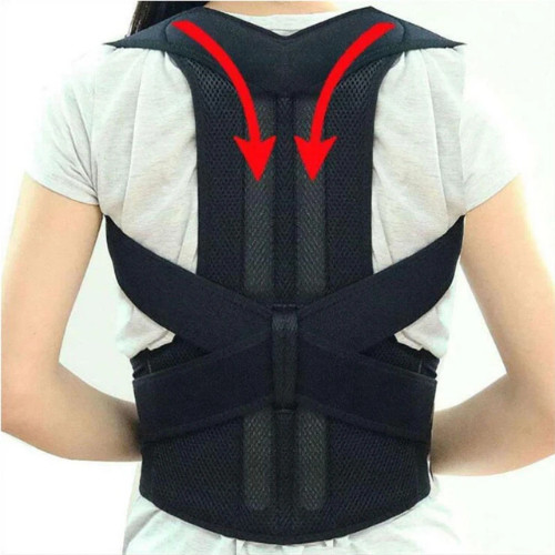 Back Support Belt Posture Corrector Lumbar Brace Pain Relief Weight Lifting