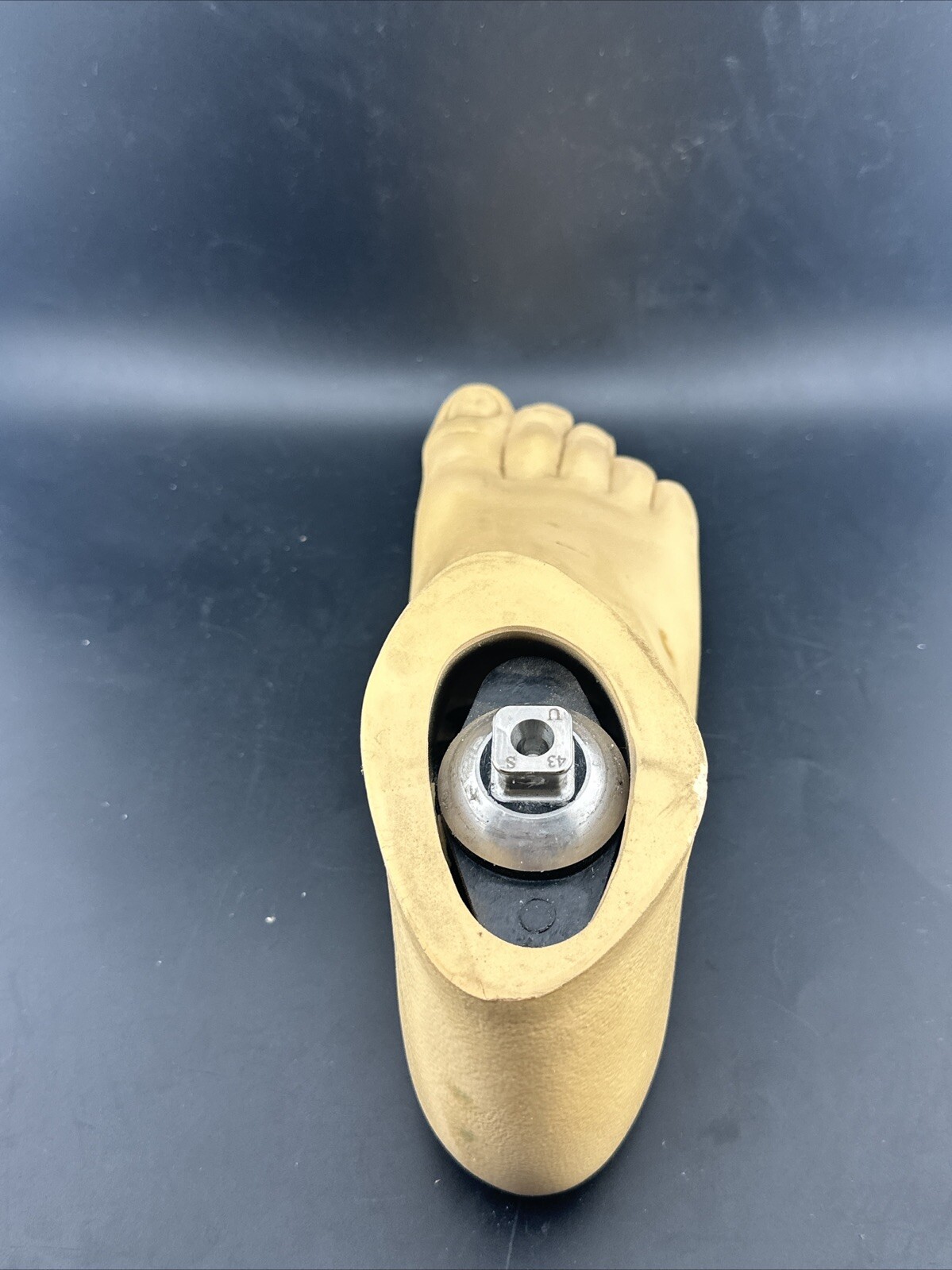 Ohio Willow Wood, Single Axis Prosthetic Foot. Right, Size 27.