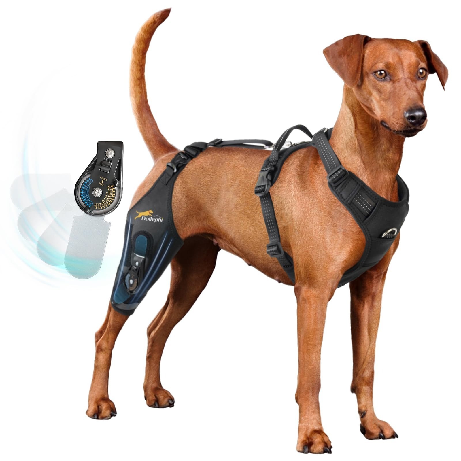 L/XL Dog Knee Brace for torn acl hind leg Adj. Hinge Stabilizer Support