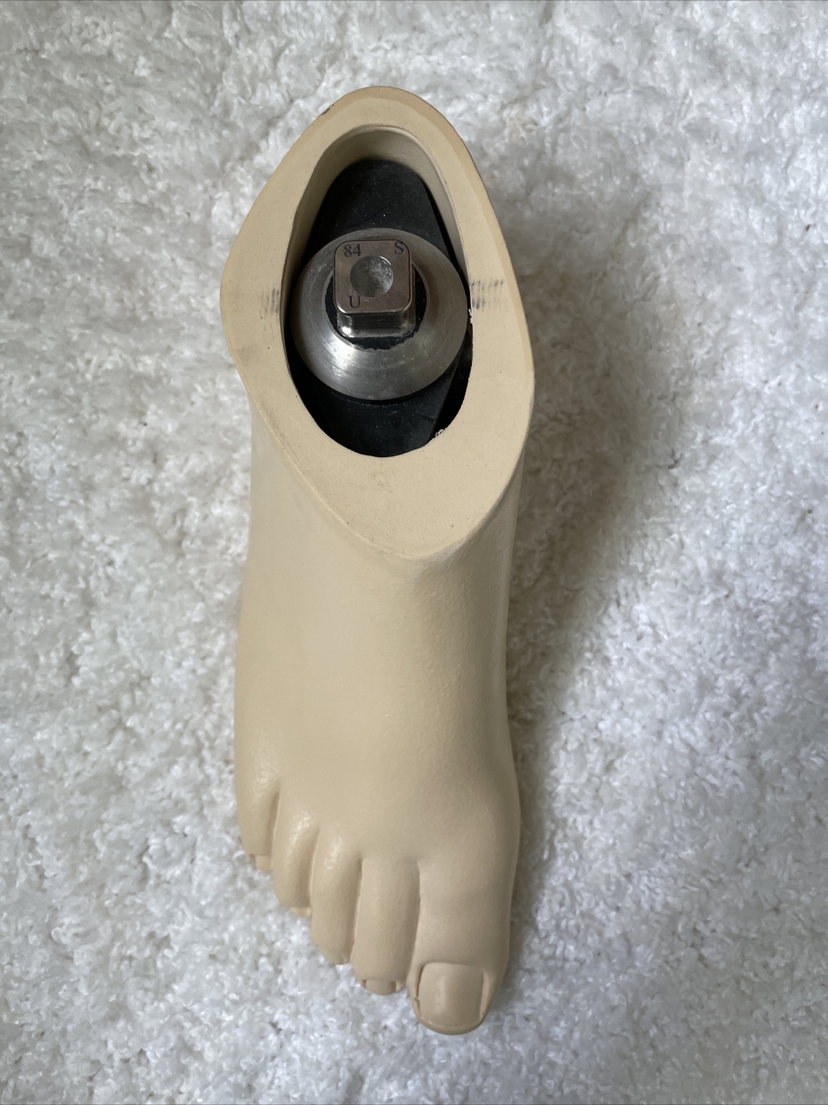Willow Wood Right Single Axis Prosthetic Foot ~ Sz 25