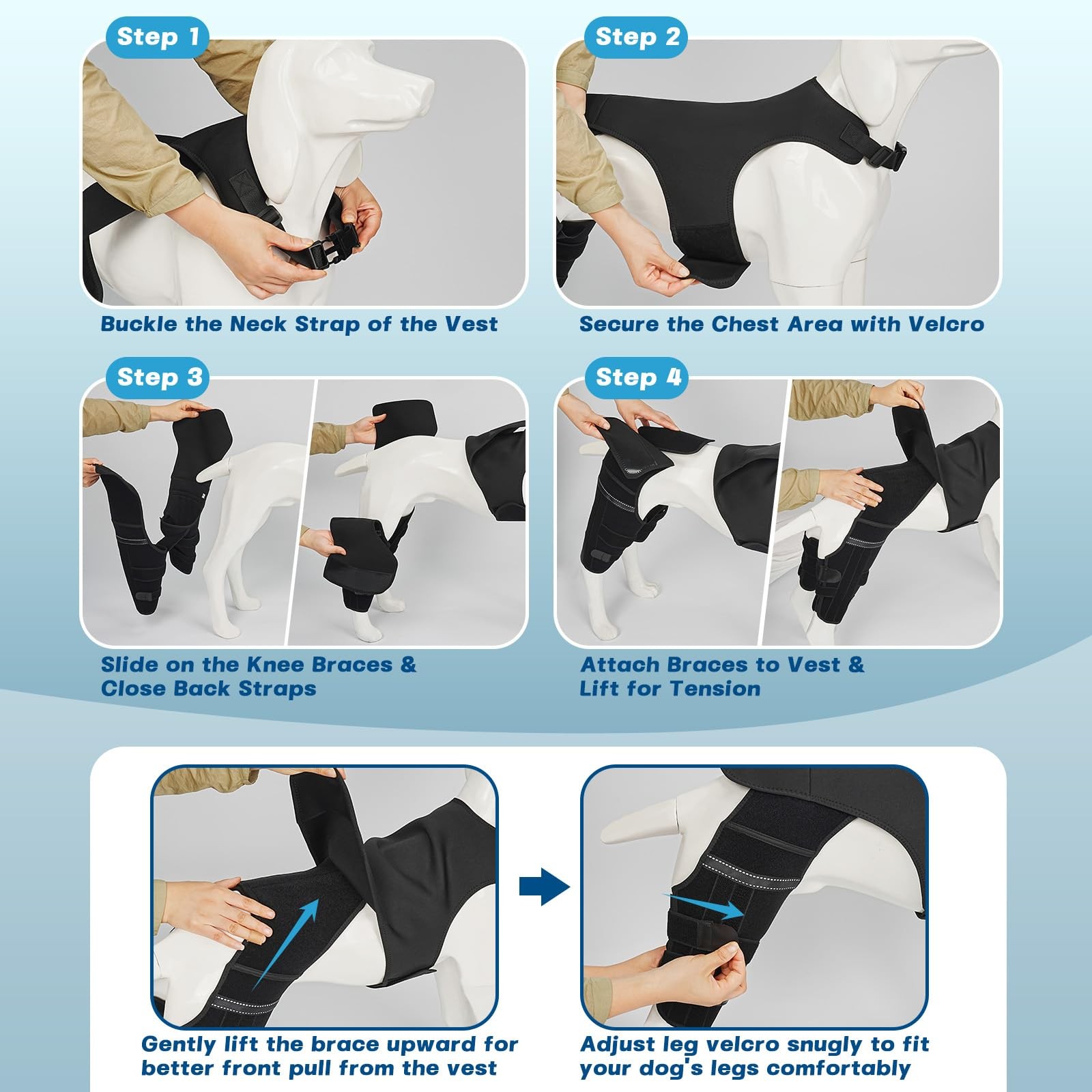 Pawfun Dog Knee Brace Hind Leg Support S