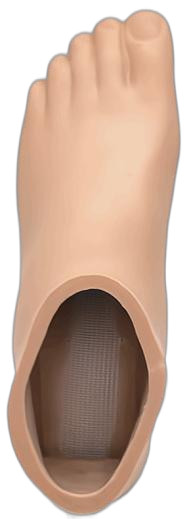 Prosthetic Foot shell foot cover size 21-28 please note inner length