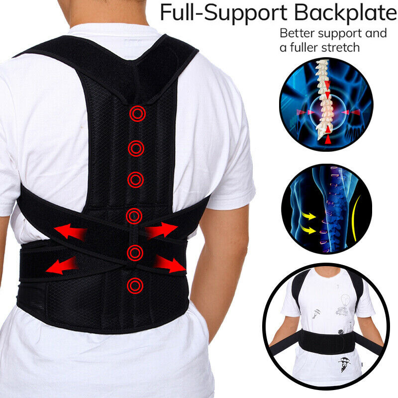 Back Brace Posture Corrector Full Support for Upper and Lower Back Belt (S-4XL)