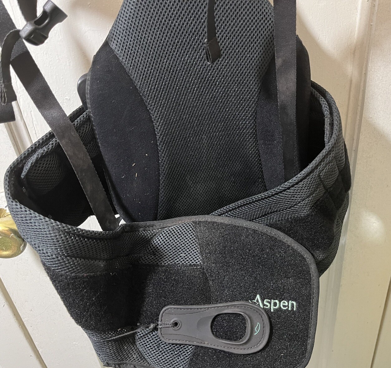 Aspen Horizon Large Back Brace Black Waist Support & Adjustable Strap Tighteners