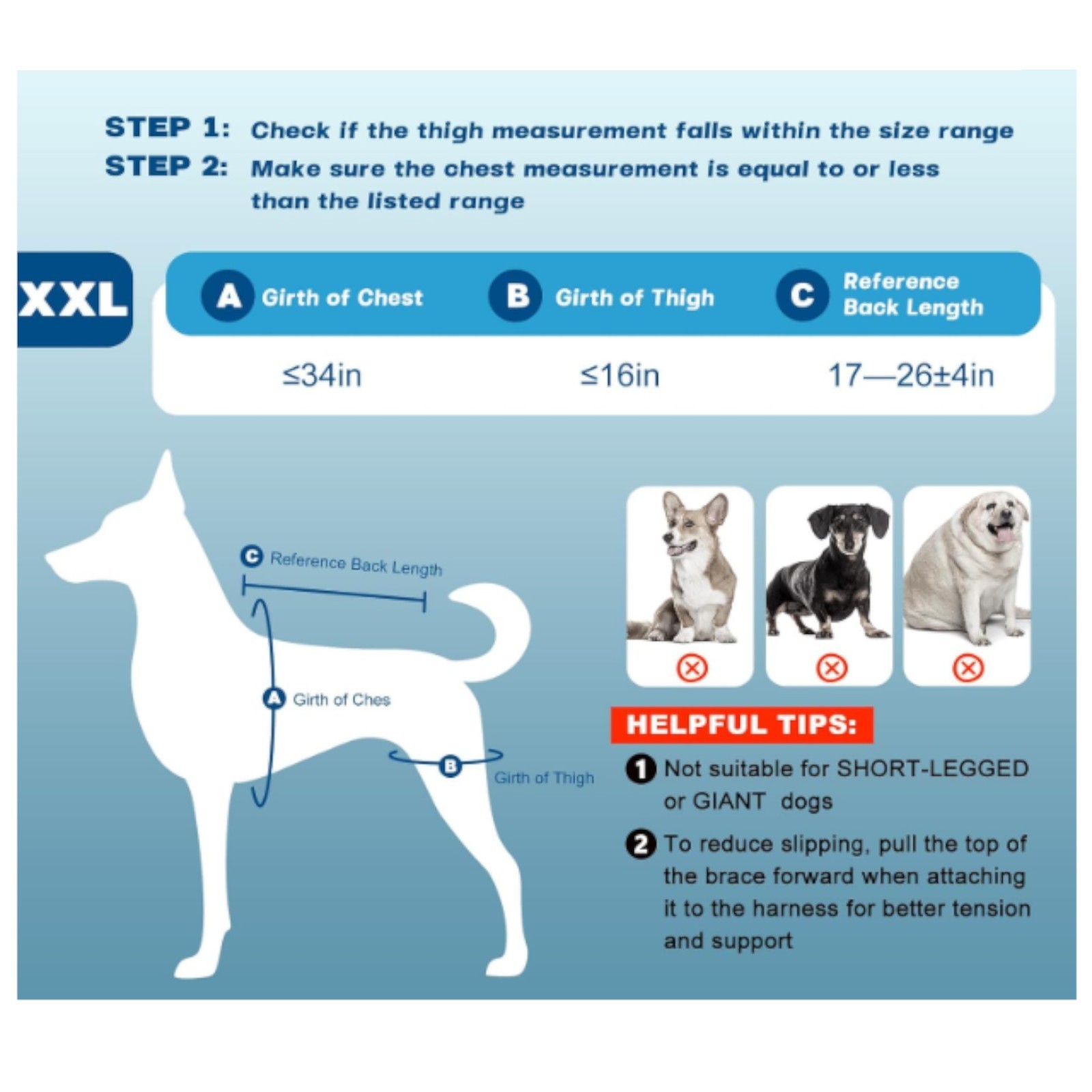 XXL Dog Knee Brace – Hind Leg ACL Support for Patella, Hip Dysplasia, Injuries
