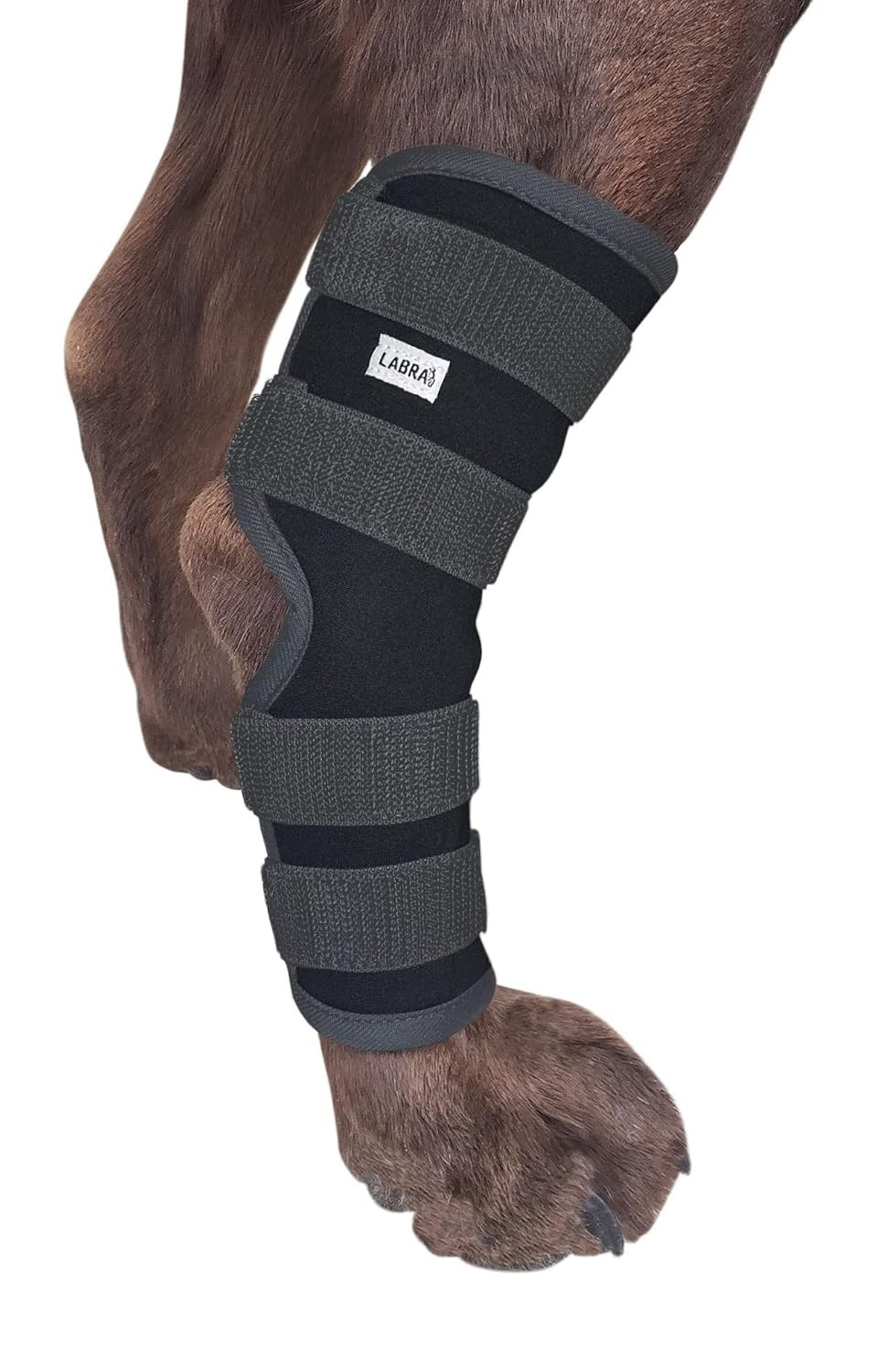 Dog Hock Joint Compression Support for Senior Dogs – Large Size & Adjustable Fit
