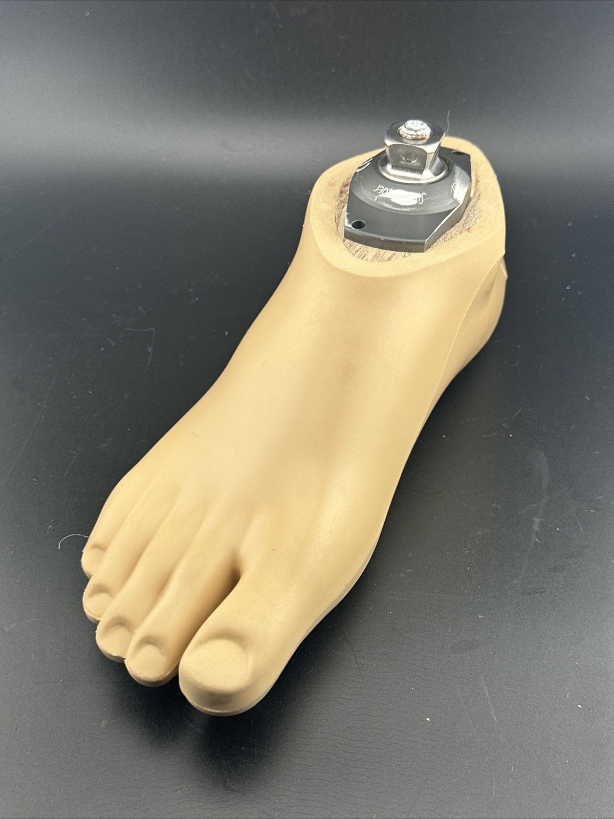 OTTOBOCK Otto Bock Sach Prosthetic Foot W/Streifeneder Adapter. Right. Size 22