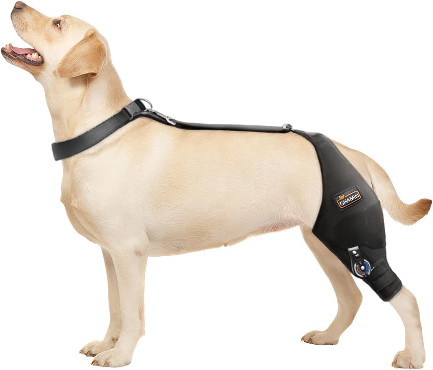 CHAMIN Dog Knee Brace Left Leg Size L ACL Ligament Rear Leg Support Harness-USED