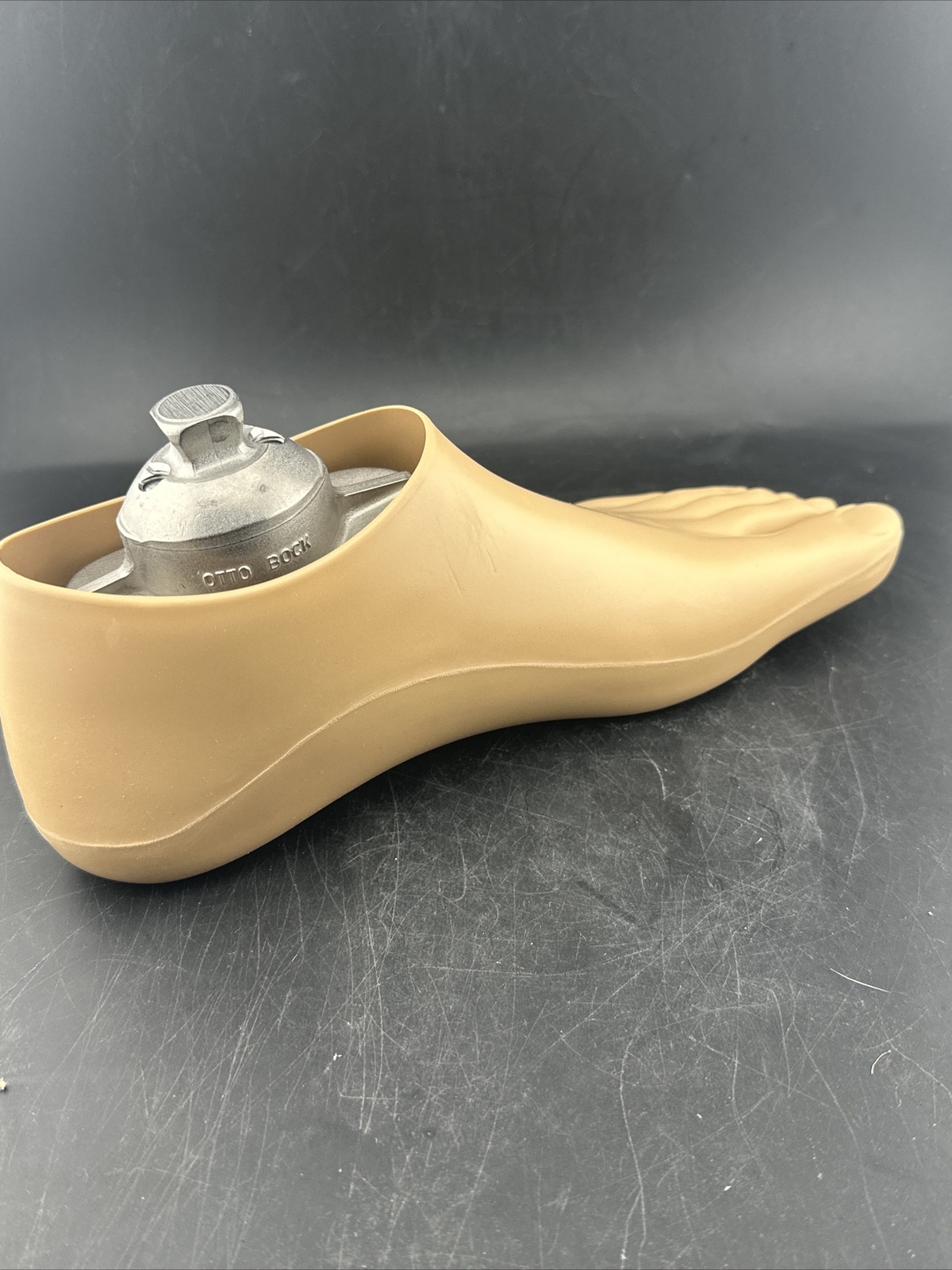 OTTOBOCK Otto Bock Greissinger Prosthetic Foot. Left Size 24 1A30 Perfect