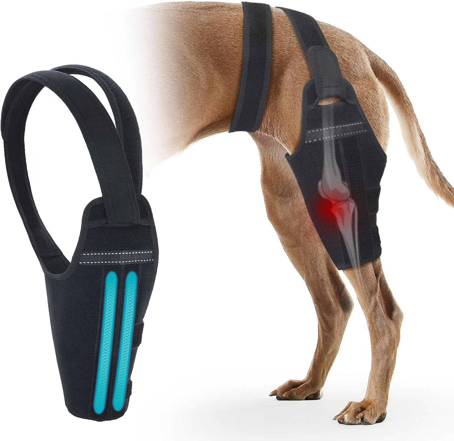 Dog Knee Brace for Torn ACL Hind Leg – Support Dog Leg Brace for Back Leg with 2