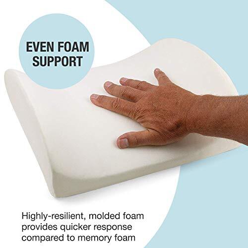 Lumbar Support Pillow For Chair Comfort Version Memory Foam Back Office And Car-