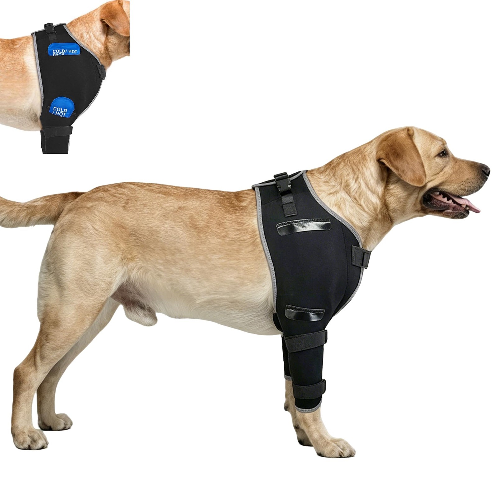 KISFLY Dog Elbow Brace for Arthritis with Gel Pack, Medium | Hot and cold the…