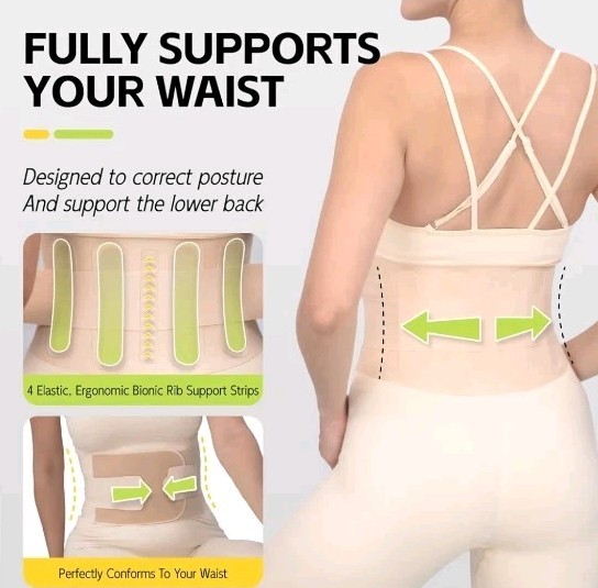 Back Brace Lumbar Support for Lower Back Pain M Sciatica Scoliosis Herniated
