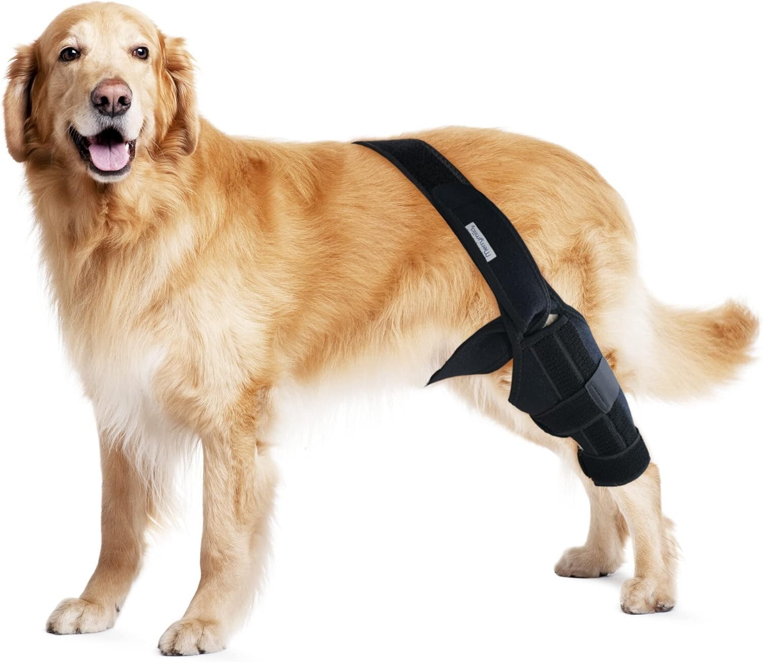 MerryMilo Dog Knee Brace for Support Ligament – Black – Various Size