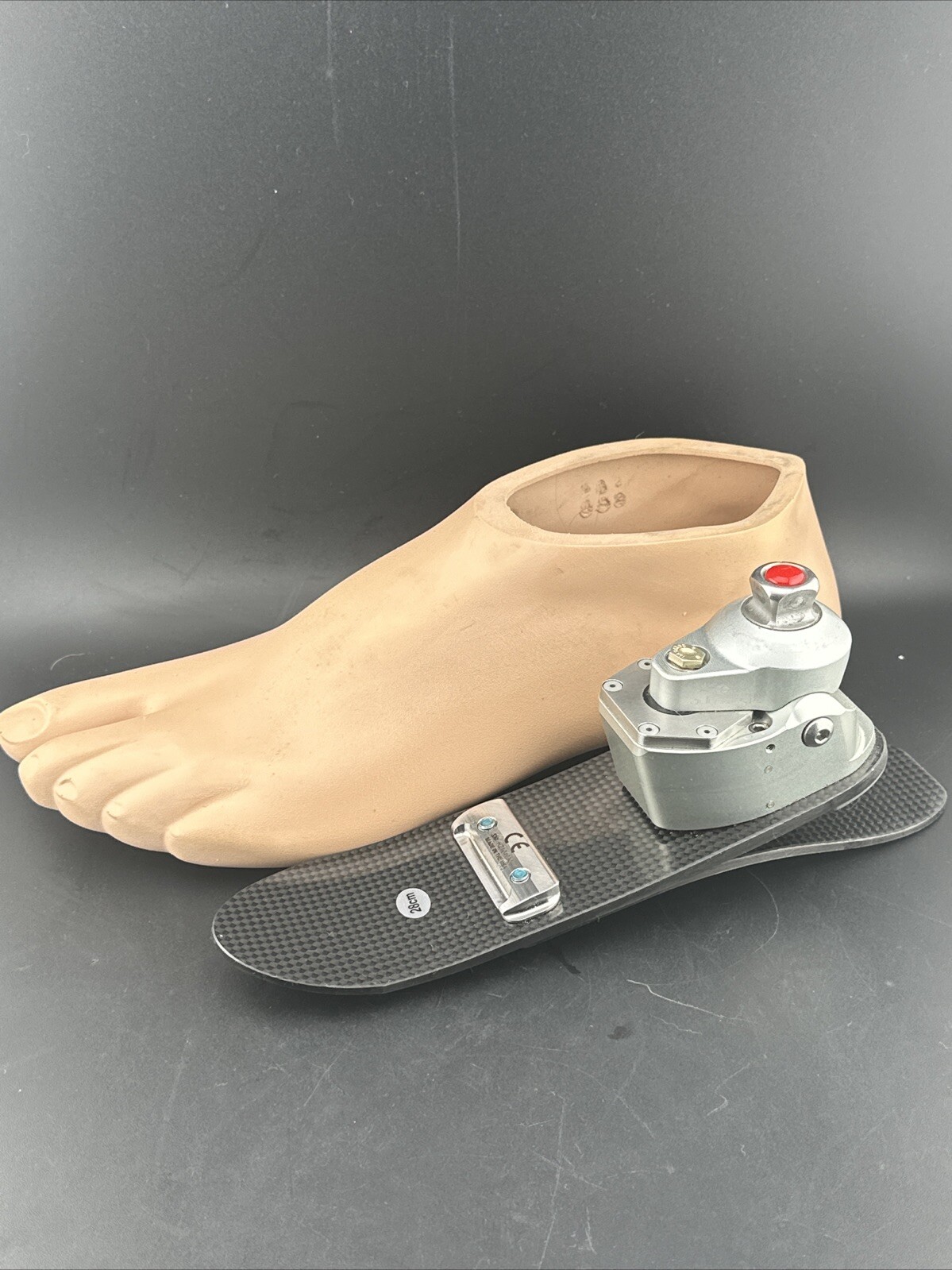 College Park K3 Odyssey Hydraulic Prosthetic Foot Size 28 Category 2 Left Shell