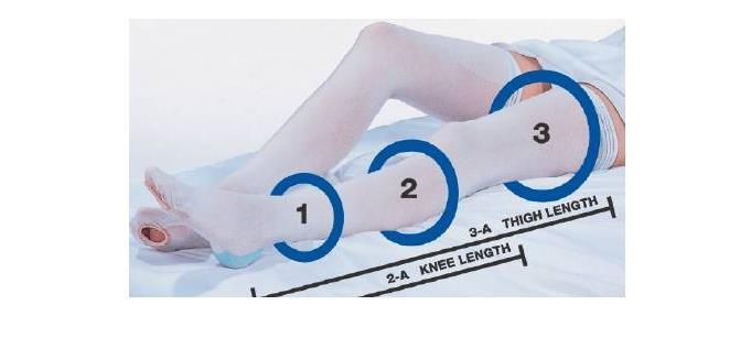 McK Cap Thigh High X-Large, Short Green / Green Anti-embolism Stockings #640