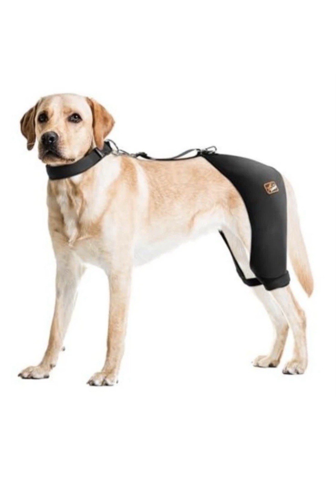 Dog Hip Brace with Hot/Cold Compress for Hip Dysplasia, Arthritis Male Large