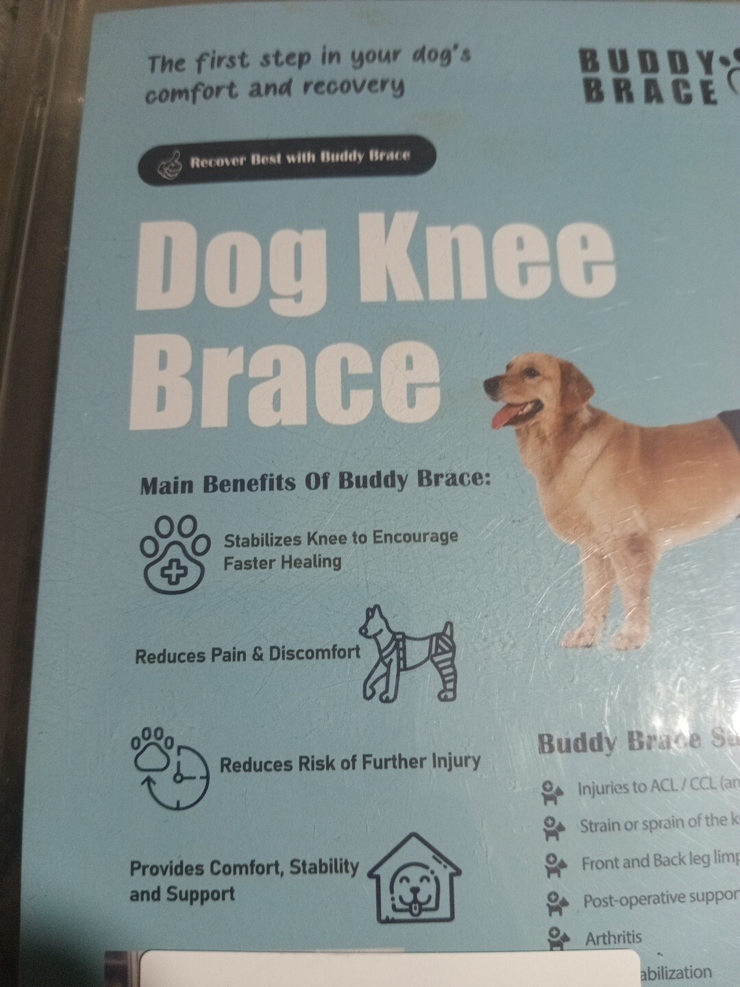 Dog Knee Brace, Dog Leg Brace Dog ACL Brace Hind Leg, Dog Hip Brace, Size: Large