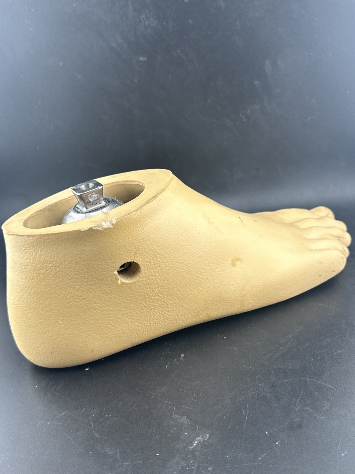 Ohio Willow Wood, Single Axis Prosthetic Foot. Right, Size 27.