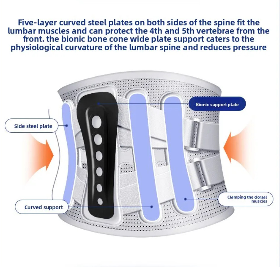 Evorola Support Belt