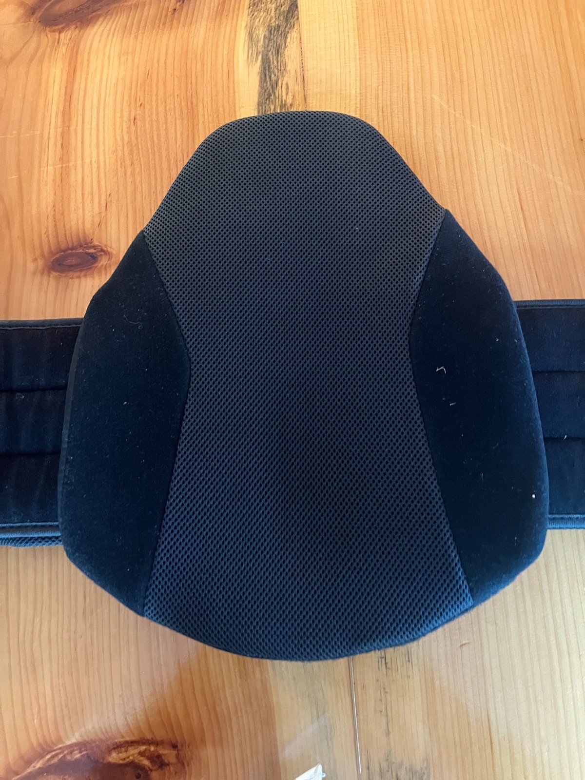 Aspen Horizon Lower Back Brace Belt Lumbar Support Adjustable Size Unisex