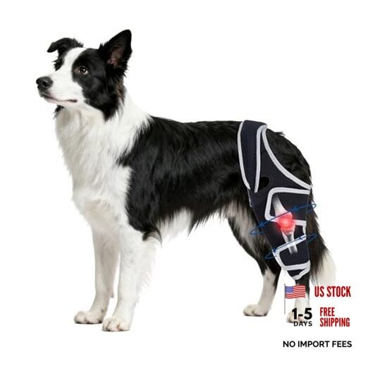 Dog Knee Brace for Torn Acl Hind Leg,Adjustable Four-Legged Universal Dog Knee