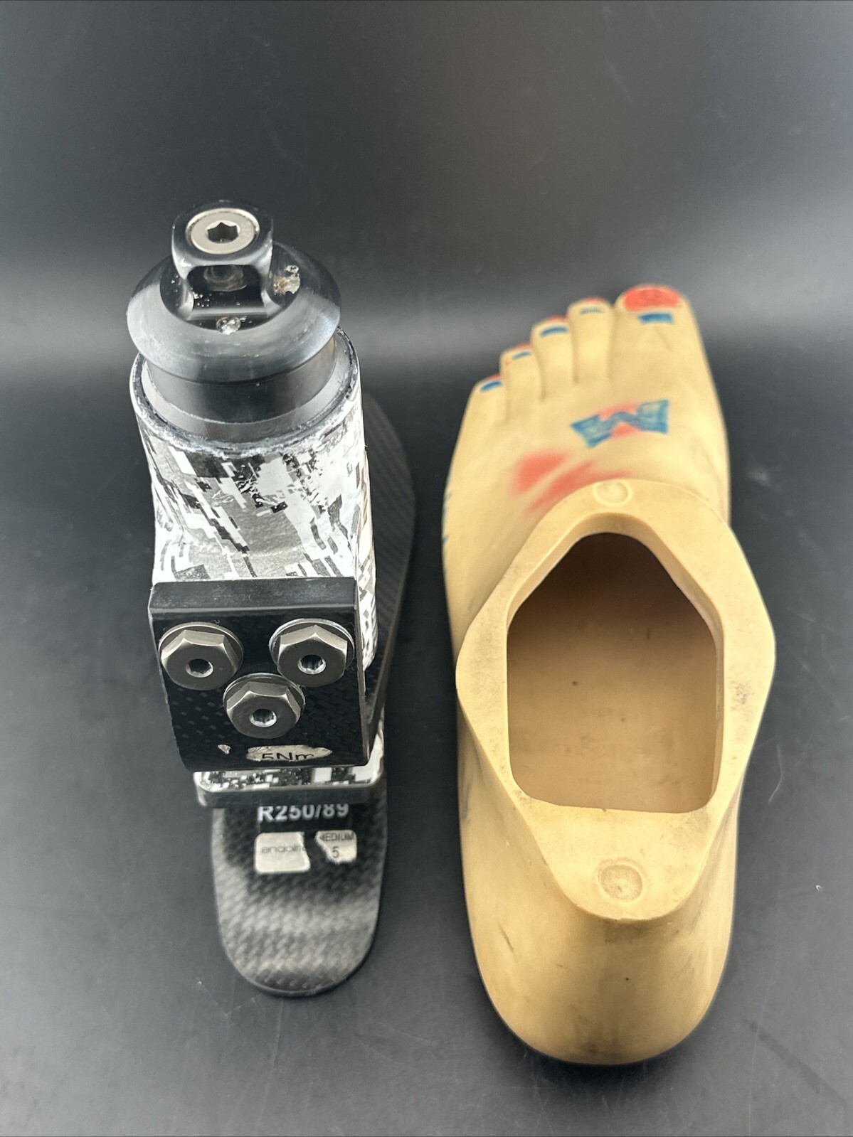 Endolite Blatchford Elite VT Vertical shock Prosthetic Foot Size 26 Cat 5 Left