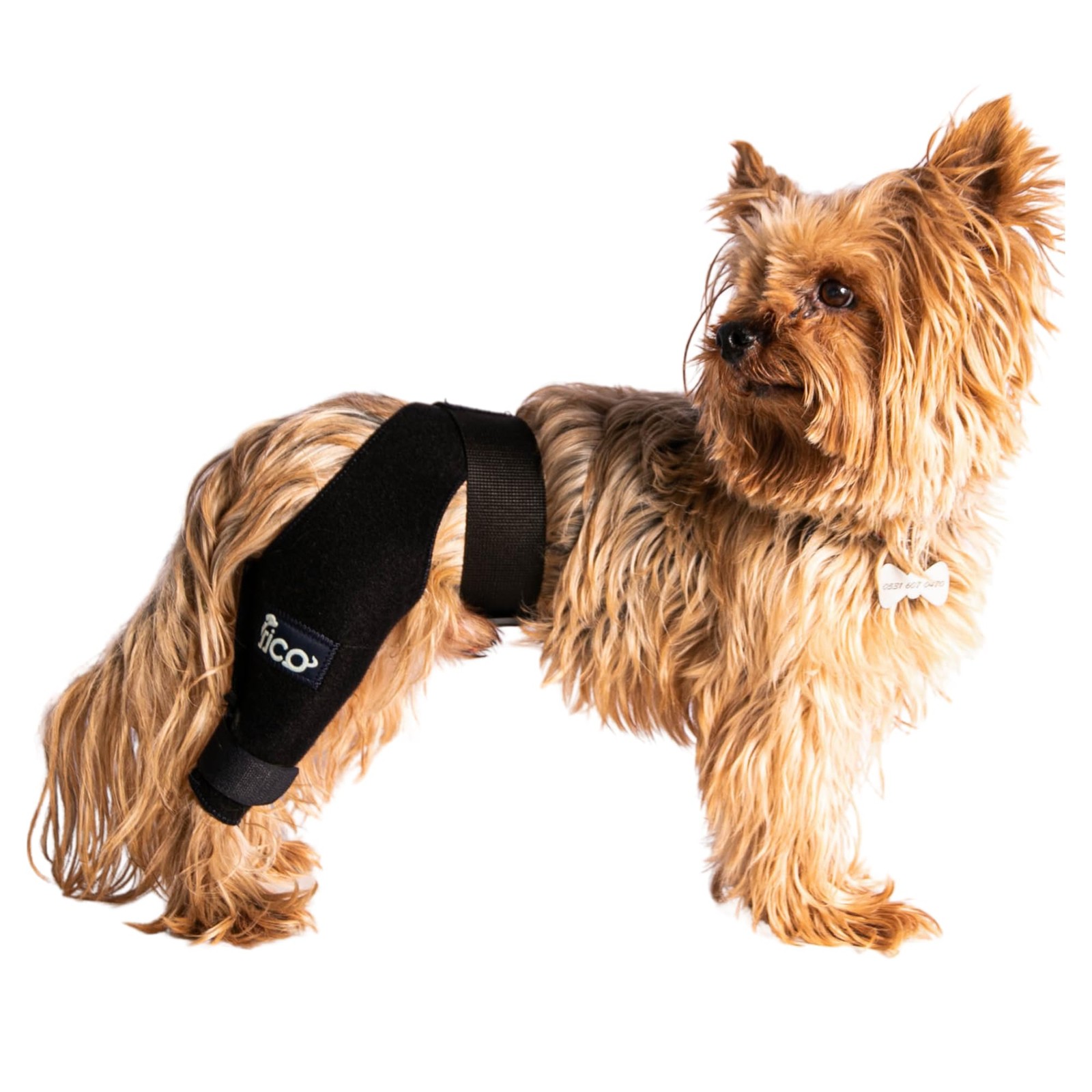 Fico Dog Knee Brace Right Leg Large