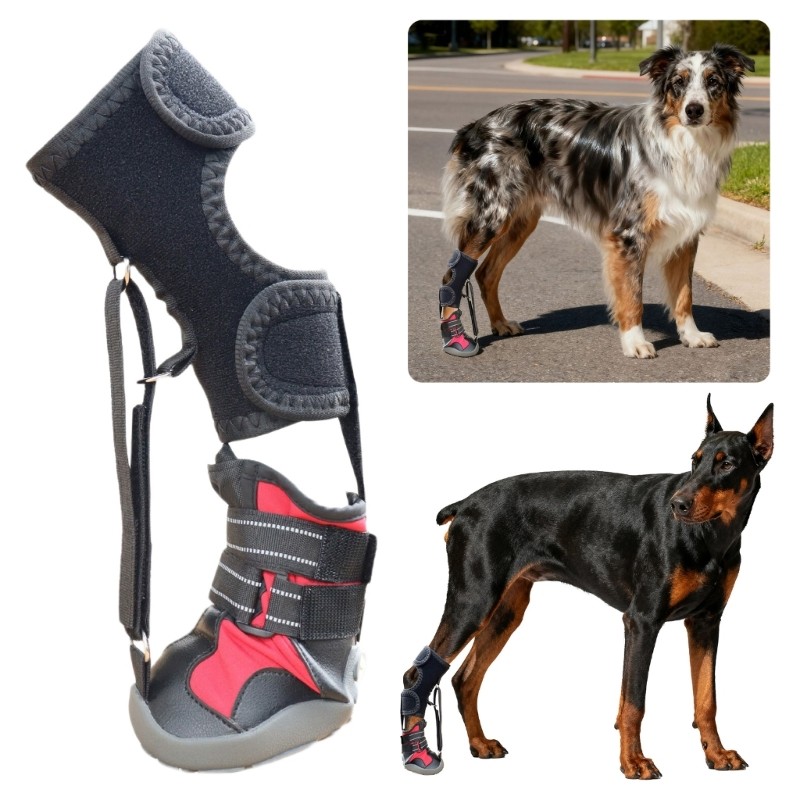 No Knuckling fit for Brace Boot Dog Dragging Paws 1/2Pieces Dog Shoes