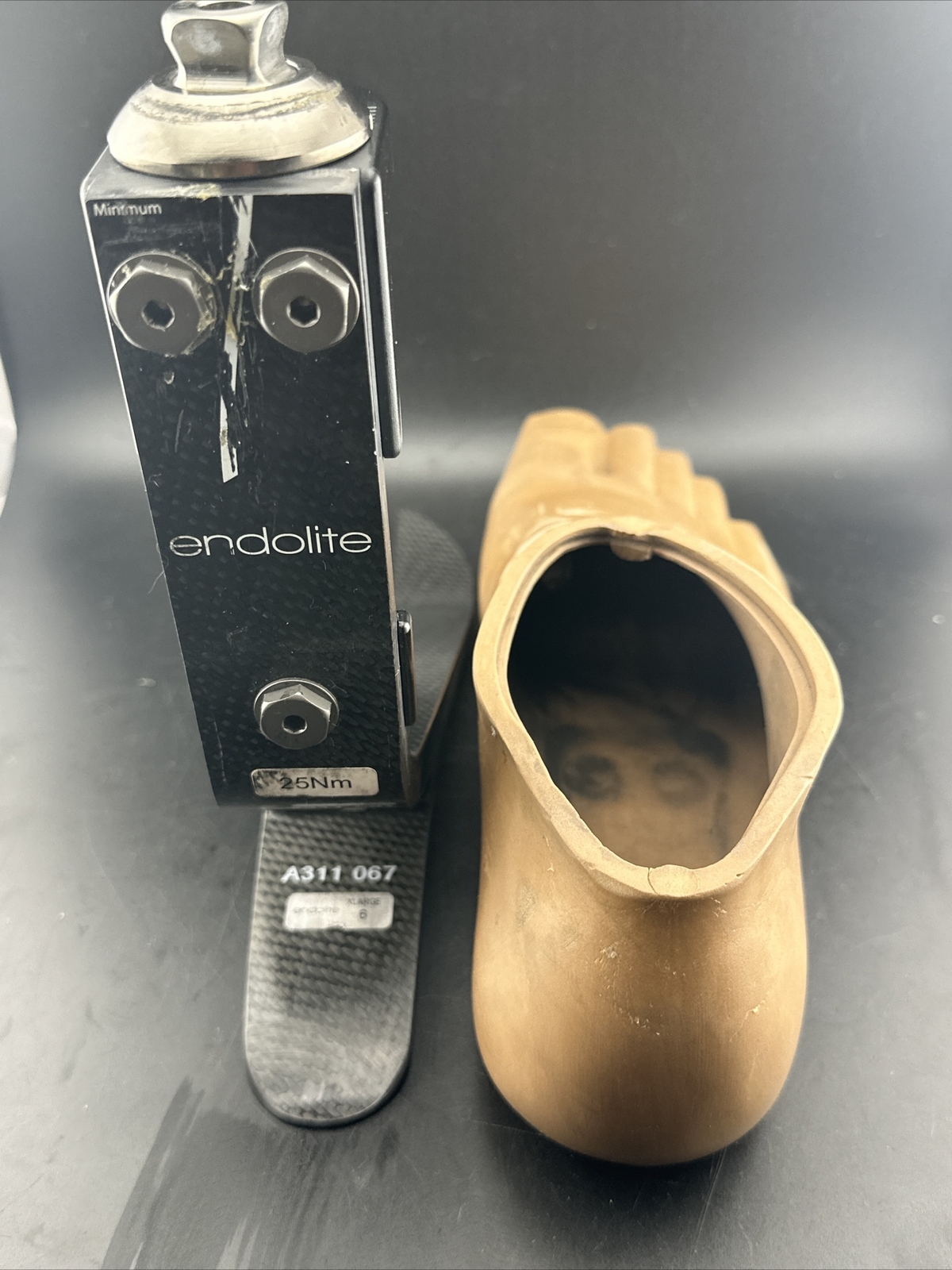 Blatchford Endolite Javalin Prosthetic Foot. Size 29. Category 29.