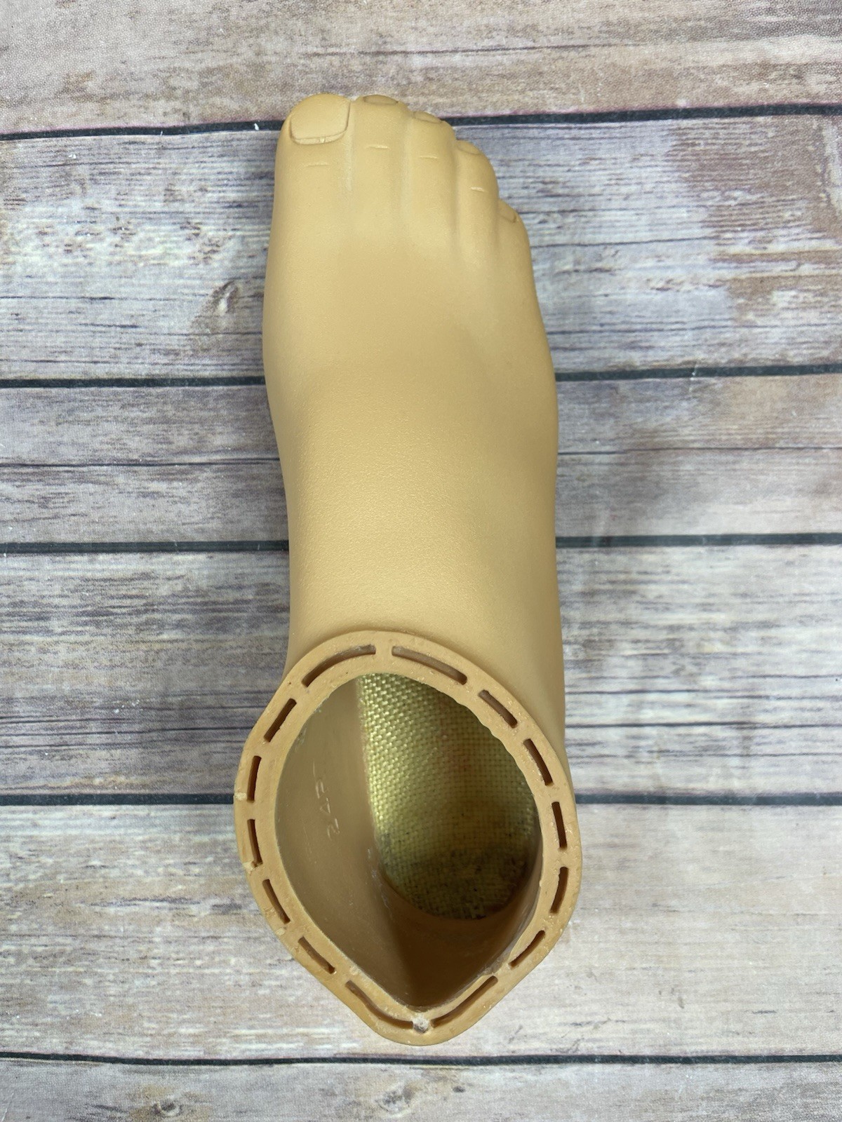Prosthetic Foot Shell/Cover Right Size 24
