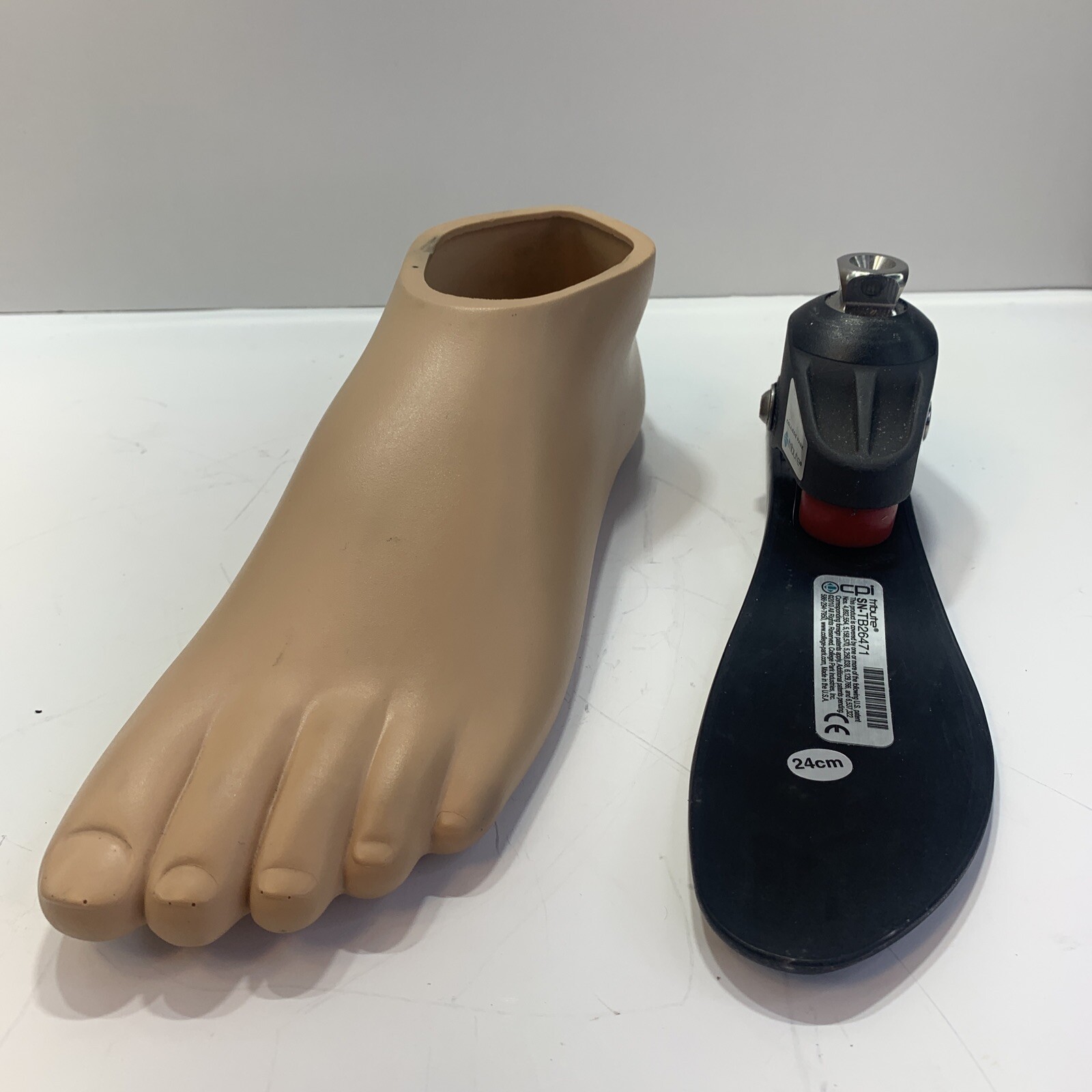 college park tribute prosthetic foot. Size 24