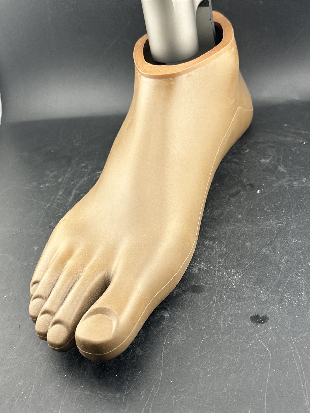 Ottobock Otto Bock Taleo Vertical Prosthetic Foot. 1C51. Perfect. Size 30