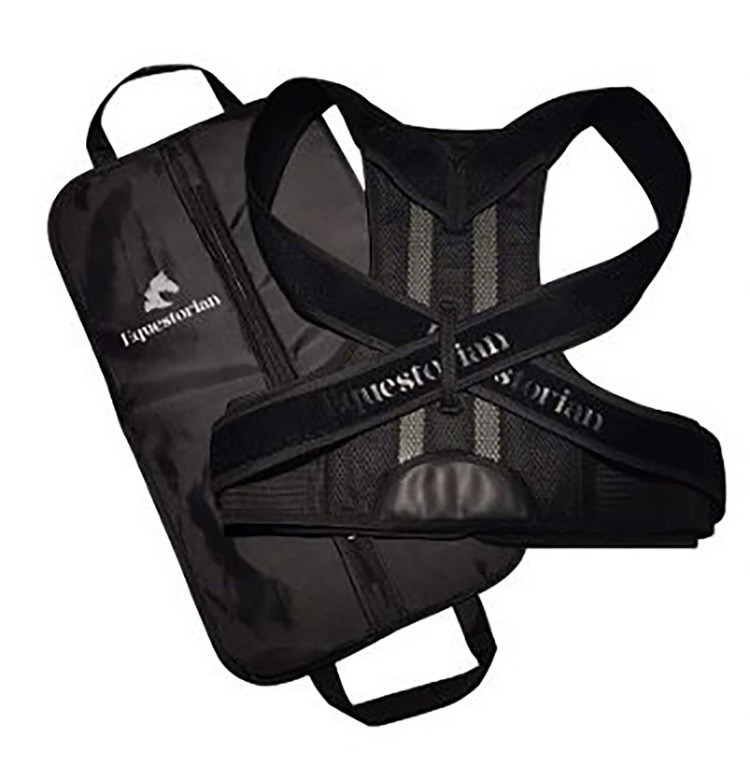 EQUESTORIAN BACK BRACE EQUESTRIAN RIDING POSTURE BRACE LIGHTWEIGHT/BREATHABLE 4X
