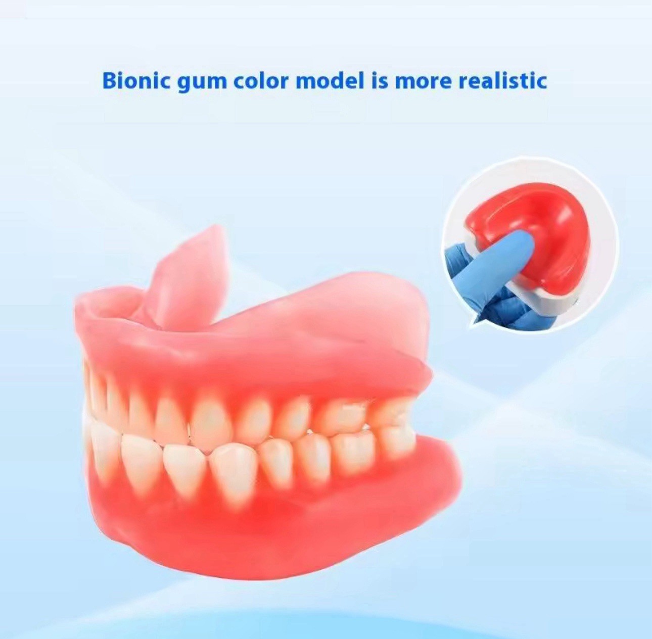 Dental Base Plate Wax U-Shape Rim Model Upper & Lower Pair for Denture Lab Use
