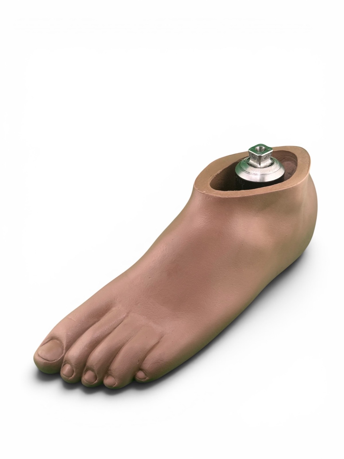 Ohio Willow Wood Sach prosthetic foot w/ titanium pyramid. Left. Size 29