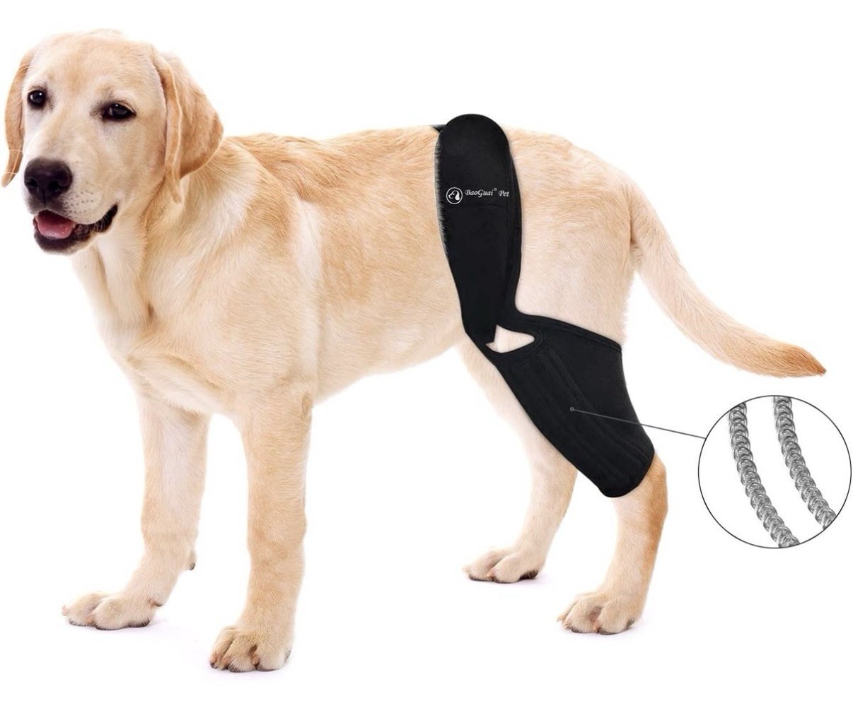 Knee Brace for Dogs ACL with Side Stabilizers,Knee Cap Dislocation, Arthritis XL