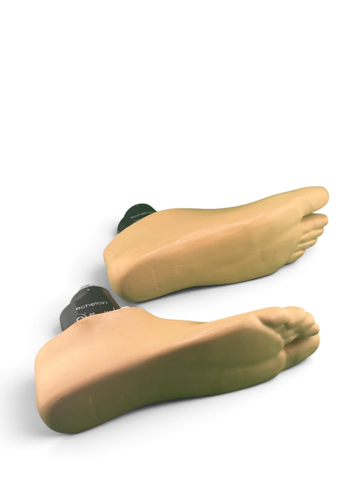 Pair Blatchford echelon prosthetic feet, size 24, category 4. 2 feet. Perfect