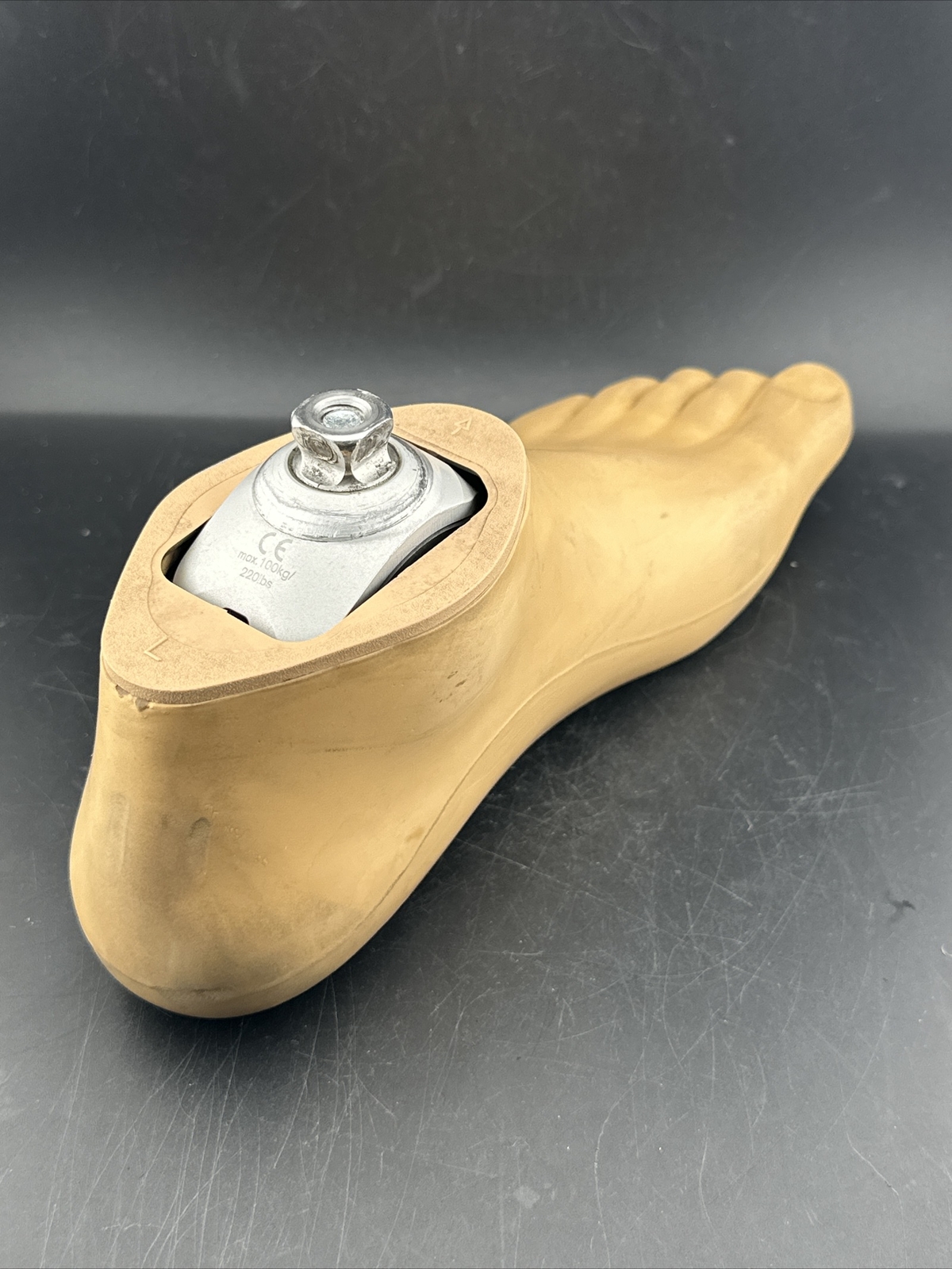 ottobock otto bock cwalk c-walk c walk prosthetic foot. Size 28