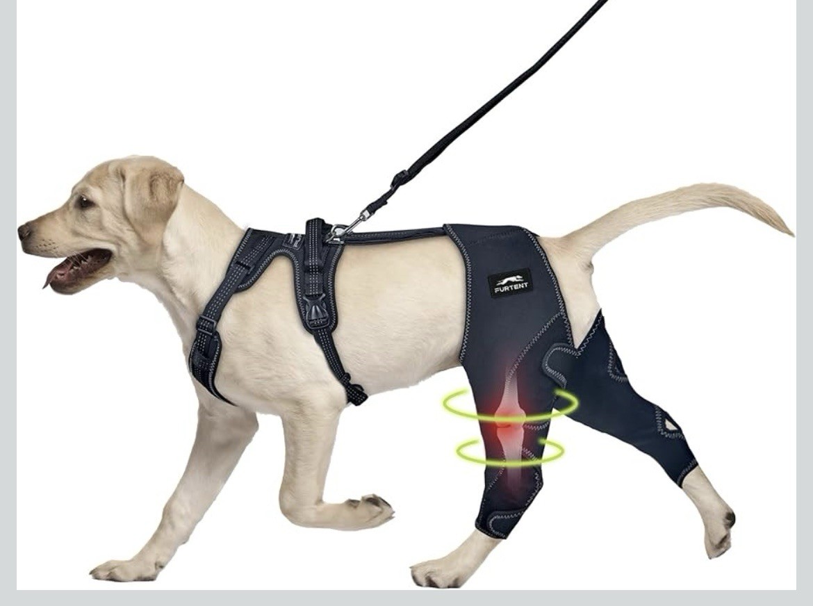 Dog Knee Brace Cruciate Ligament Injuries ACL Dog Rear Leg Wrap Medium Harness