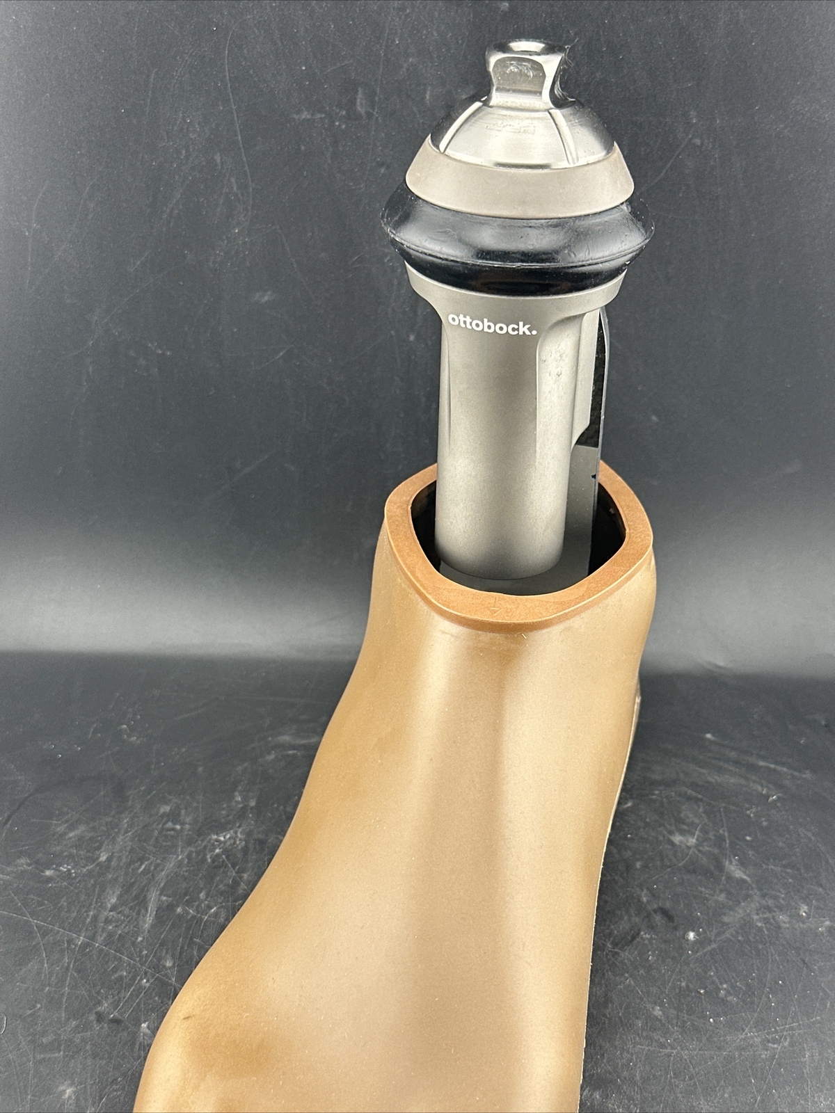 Ottobock Otto Bock Taleo Vertical Prosthetic Foot. 1C51. Perfect. Size 30