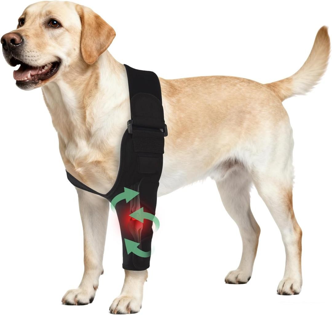 Adjustable Dog Elbow Brace with Shoulder Support,Dog Front Leg Brace f… Bundle