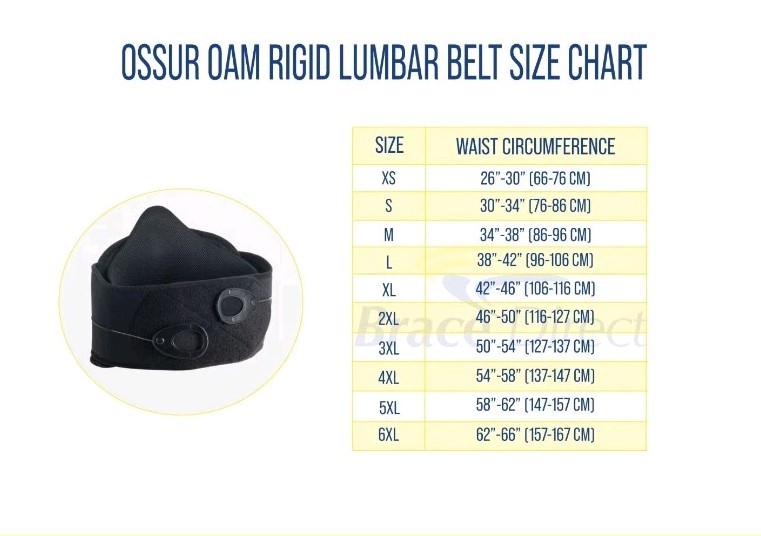 Ossur OAM631-22 Rigid Lumbar Back Brace Posterior Panel 6XL Slim Support Belt