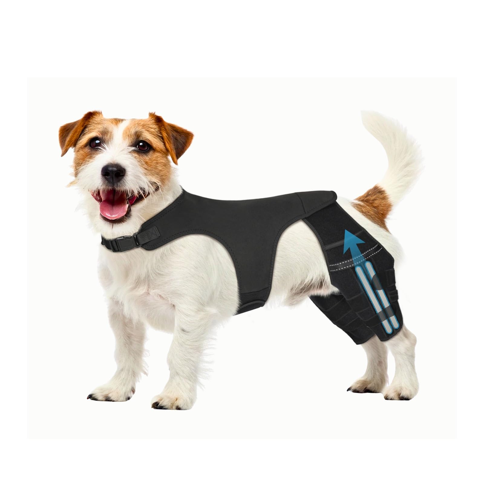 Pawfun Dog Knee Brace Hind Leg Support S