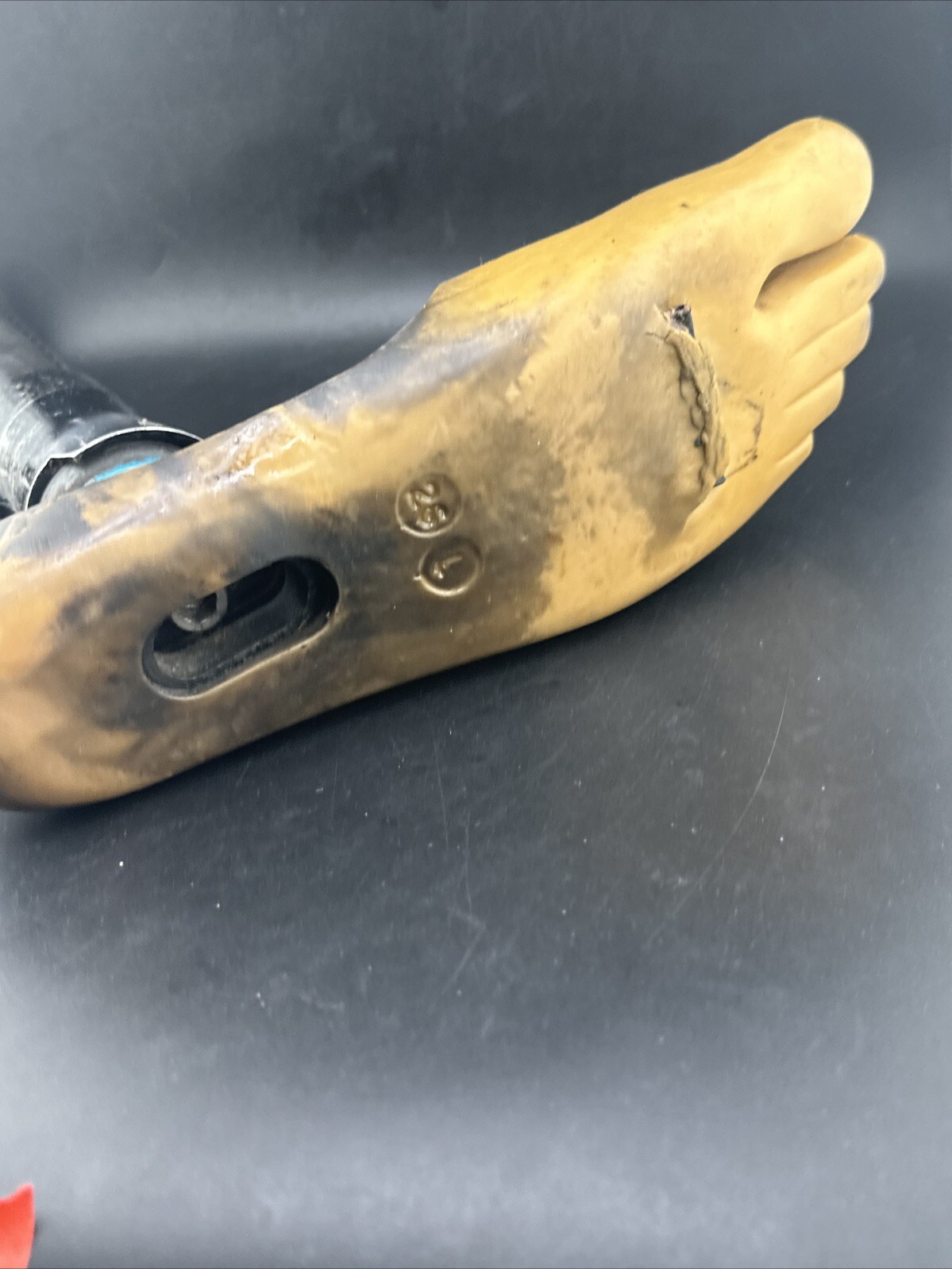 Blatchford Endolite Multiflex Multi Flex Prosthetic Foot. Left Size 26 Bad Cond
