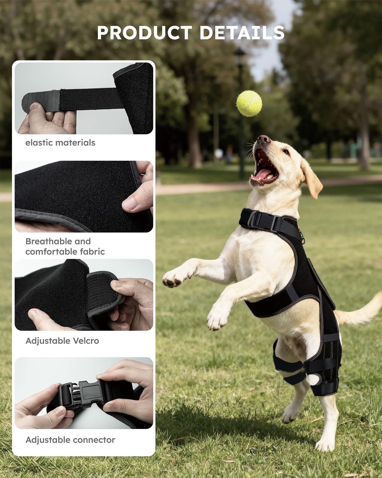 seangonna Dog Knee Brace M