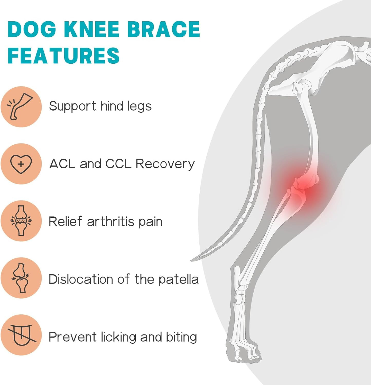 Dog Knee Brace for Torn ACL Hind Leg – Support Dog Leg Brace for Back Leg with 2